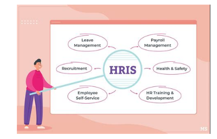 Top HRIS Systems for Midsize Companies